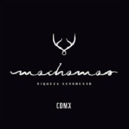 Logotipo de la empresa Mochomos