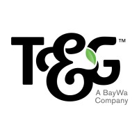 Company logo T&G Global