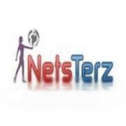कंपनी का लोगो Netsterz Infotech Pvt Ltd