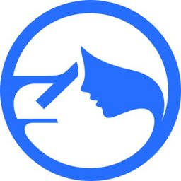 Company logo Paige