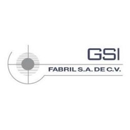 GSI FABRIL SA DE CV Logo