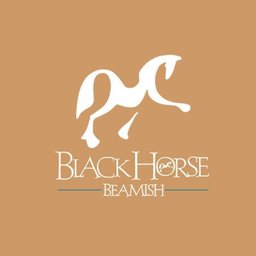 Company logo Black Horse Beamish