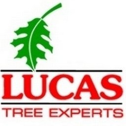 Company logo Lucas Tree Expert Co, Inc