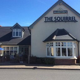 Company logo The Squirrel Pub