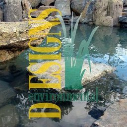 Company logo Environmental Designs