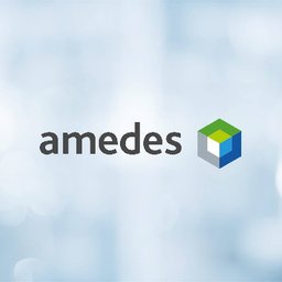 Firmenlogo Amedes Gruppe