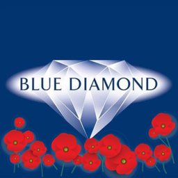 Company logo Blue Diamond