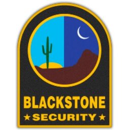 Company logo Blackstone Security Services, Inc.