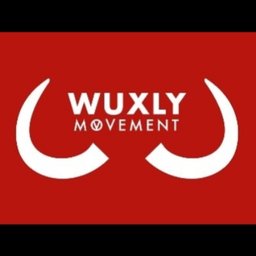 Company logo Wuxly Movement