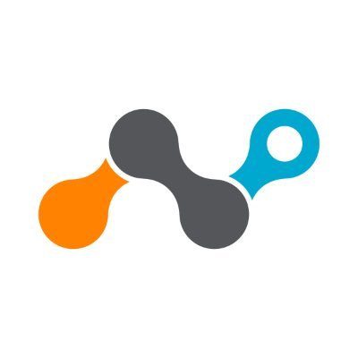 Company logo Netskope