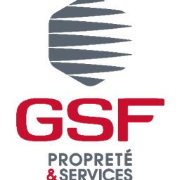 Logo de l'entreprise GSF ORION