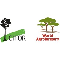 Logo perusahaan CIFOR-ICRAF