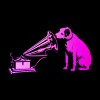 Company logo HMV