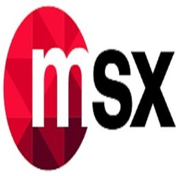 Company logo MSX International