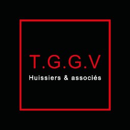 Logo de l'entreprise SELARL TGGV