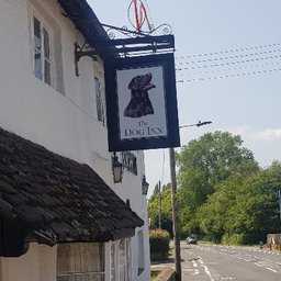 Company logo THE DOG INN