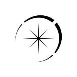 Company logo Morning Star Consulting
