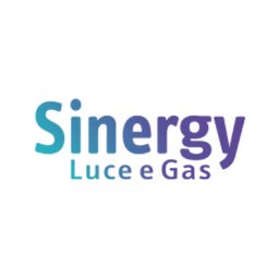 Company logo SINERGY