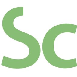 Company logo Scauting