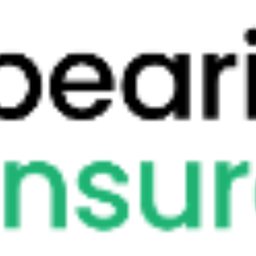 Company logo Bearing Insurance Group, LLC