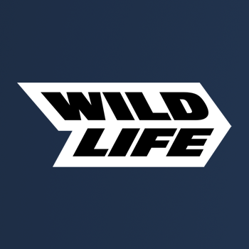 Company logo Wildlife Studios