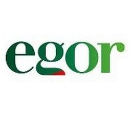 Company logo EGOR