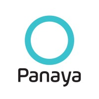 Company logo Panaya