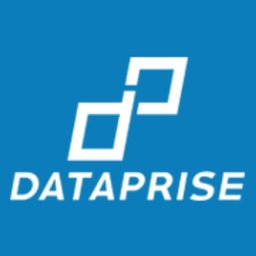 Dataprise Logo