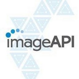 Company logo Image API