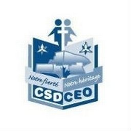 Company logo CSDCEO