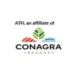 कंपनी का लोगो Agro Tech Foods Limited