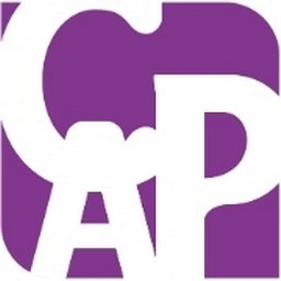 Company logo The Cap Consulting Group Pte Ltd