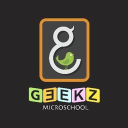 कंपनी का लोगो Geekz Micro-School