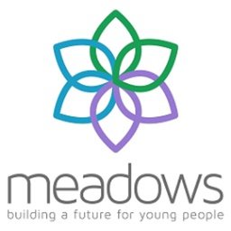 Company logo Meadows Care