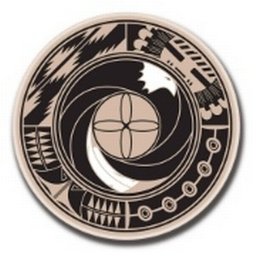 Company logo NATIVE HEALTH