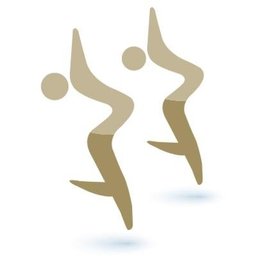 Company logo IT Force