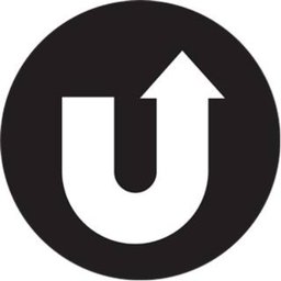 Company logo the turn lab