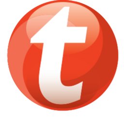 Company logo Tempo-Team