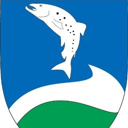 Company logo Ringkøbing-Skjern Kommune