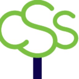 Company logo CSS Pension Plan