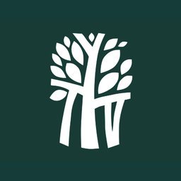 شعار الشركة Banyan Tree