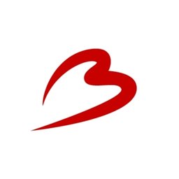 Company logo BRUSSELS AIRPORT COMPANY