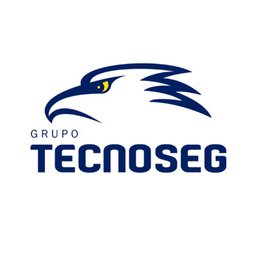 Company logo TECNOSEG