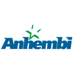 Company logo INDUSTRIAS ANHEMBI SA