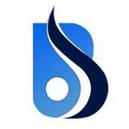 कंपनी का लोगो Baniwal Infotech Pvt Ltd