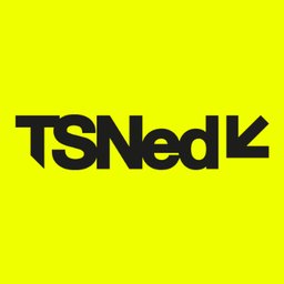 Company logo Traffic Service Nederland