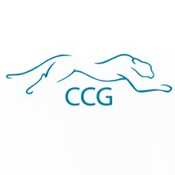 Firmenlogo CCG DE GmbH