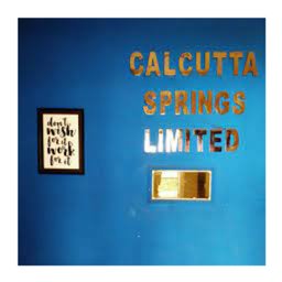 कंपनी का लोगो calcutta springs limited
