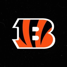 Company logo Cincinnati Bengals