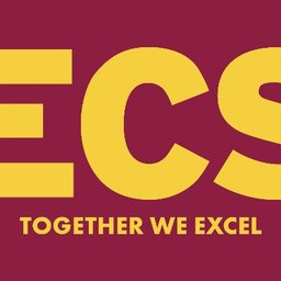 Company logo ECS